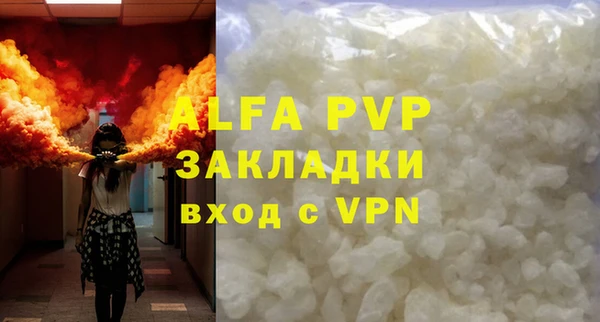 ПСИЛОЦИБИНОВЫЕ ГРИБЫ Абаза