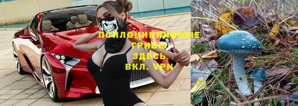 крисы Алексин