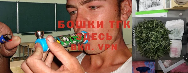 крисы Алексин