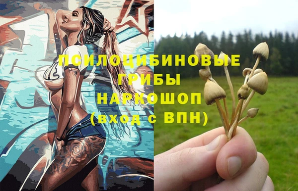 крисы Алексин